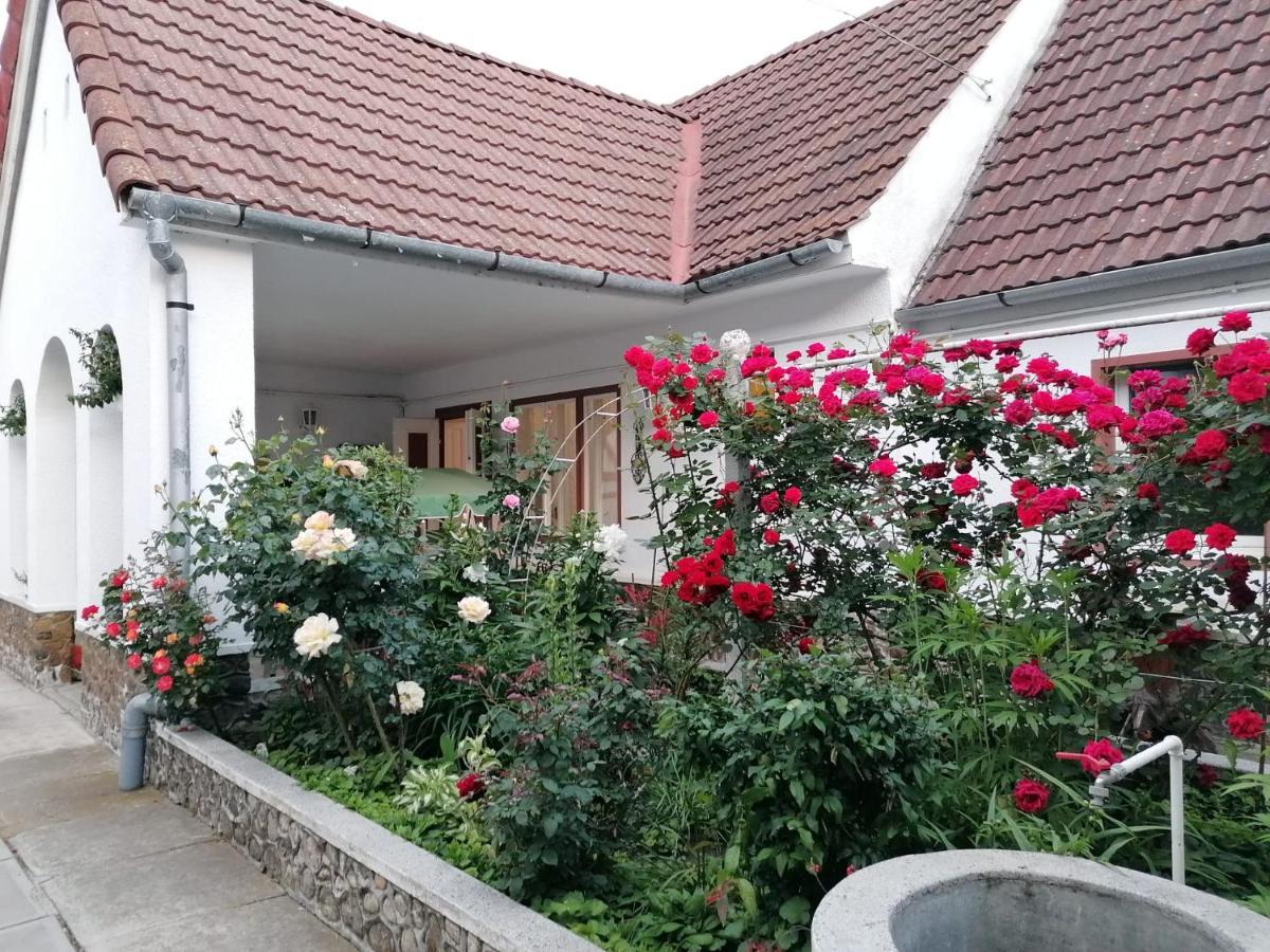 Pensiunea Spack Hotel Cristian  Ngoại thất bức ảnh